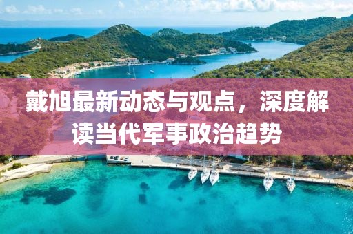 戴旭最新动态与观点，深度解读当代军事政治趋势