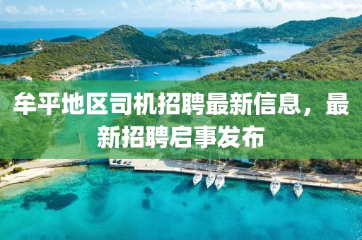 牟平地区司机招聘最新信息，最新招聘启事发布