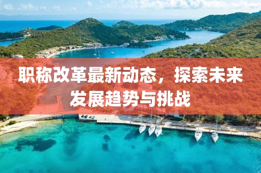 职称改革最新动态，探索未来发展趋势与挑战