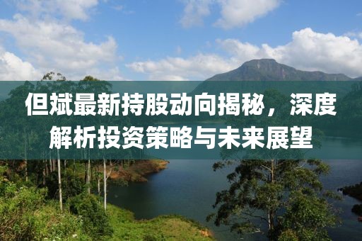 但斌最新持股动向揭秘，深度解析投资策略与未来展望