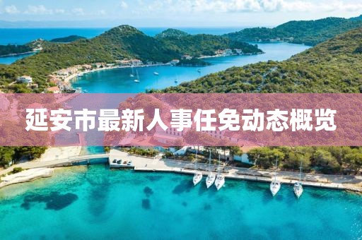 延安市最新人事任免动态概览