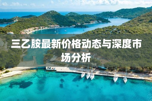 三乙胺最新价格动态与深度市场分析