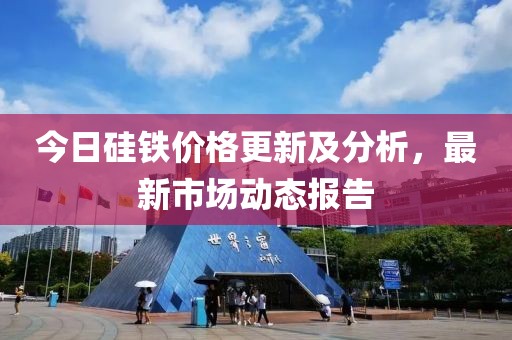 今日硅铁价格更新及分析，最新市场动态报告