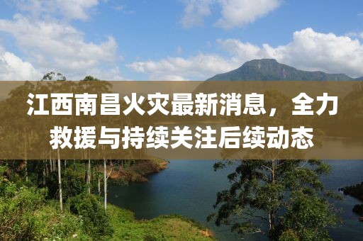 江西南昌火灾最新消息，全力救援与持续关注后续动态