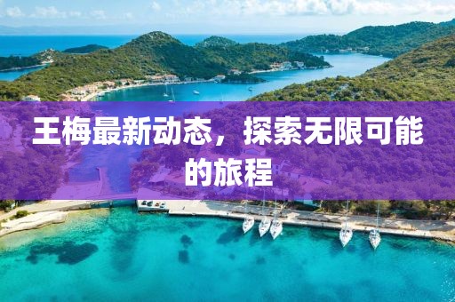 王梅最新动态，探索无限可能的旅程