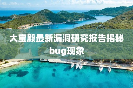 大宝殿最新漏洞研究报告揭秘bug现象