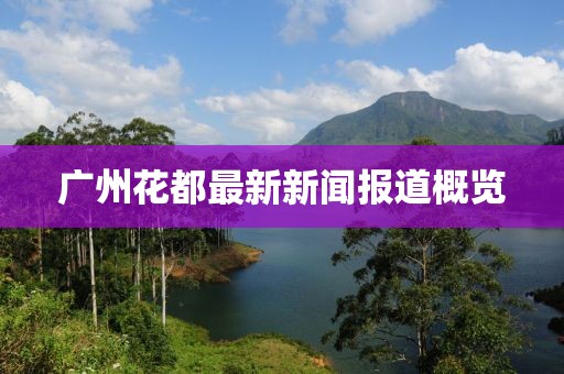 广州花都最新新闻报道概览