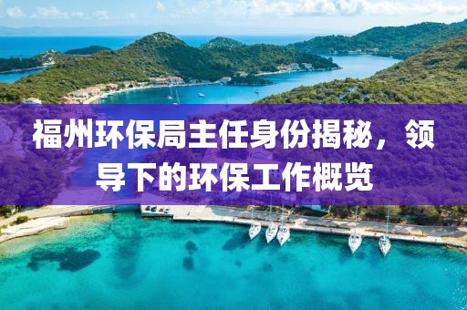 福州环保局主任身份揭秘，领导下的环保工作概览