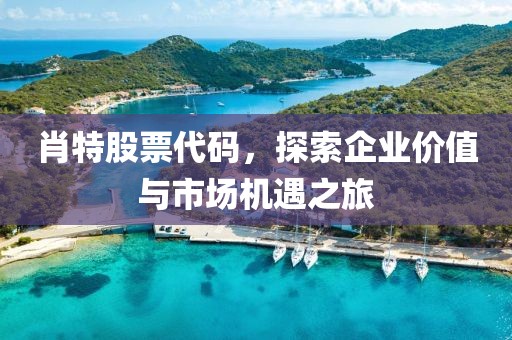 肖特股票代码，探索企业价值与市场机遇之旅