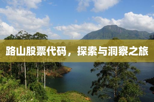 路山股票代码，探索与洞察之旅