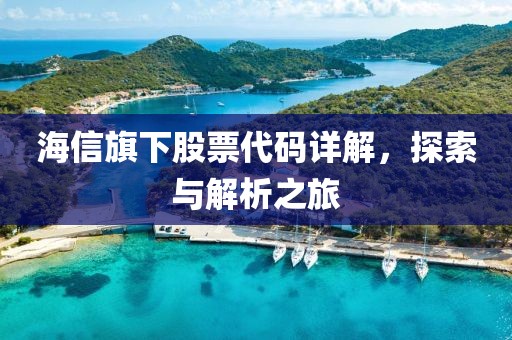 海信旗下股票代码详解，探索与解析之旅