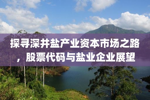 探寻深井盐产业资本市场之路，股票代码与盐业企业展望