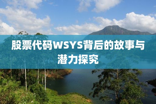 股票代码WSYS背后的故事与潜力探究