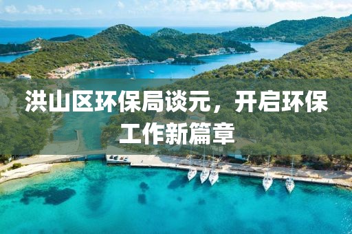 洪山区环保局谈元，开启环保工作新篇章