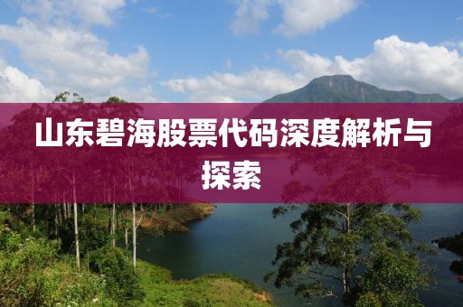 山东碧海股票代码深度解析与探索