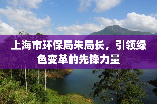 上海市环保局朱局长，引领绿色变革的先锋力量