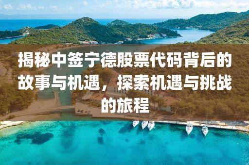 揭秘中签宁德股票代码背后的故事与机遇，探索机遇与挑战的旅程