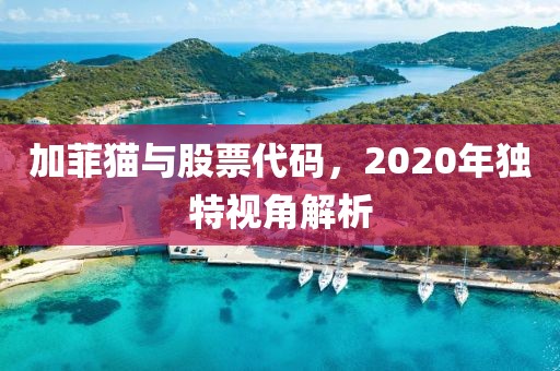 加菲猫与股票代码，2020年独特视角解析