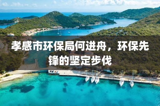 孝感市环保局何进舟，环保先锋的坚定步伐