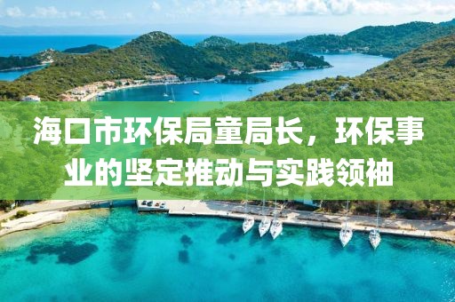 海口市环保局童局长，环保事业的坚定推动与实践领袖