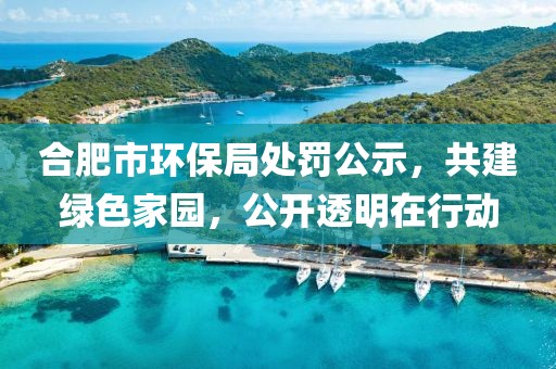 合肥市环保局处罚公示，共建绿色家园，公开透明在行动