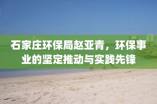 石家庄环保局赵亚青，环保事业的坚定推动与实践先锋