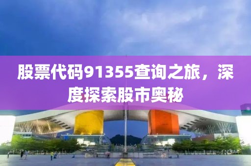 股票代码91355查询之旅，深度探索股市奥秘