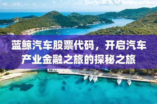 蓝鲸汽车股票代码，开启汽车产业金融之旅的探秘之旅