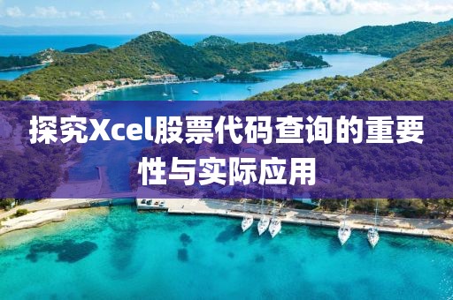 探究Xcel股票代码查询的重要性与实际应用