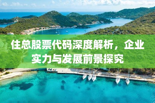 住总股票代码深度解析，企业实力与发展前景探究