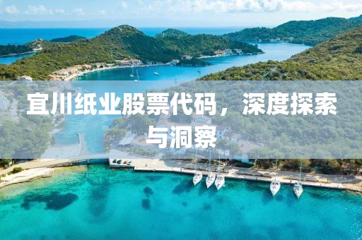 宜川纸业股票代码，深度探索与洞察