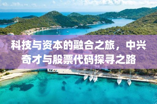 科技与资本的融合之旅，中兴奇才与股票代码探寻之路