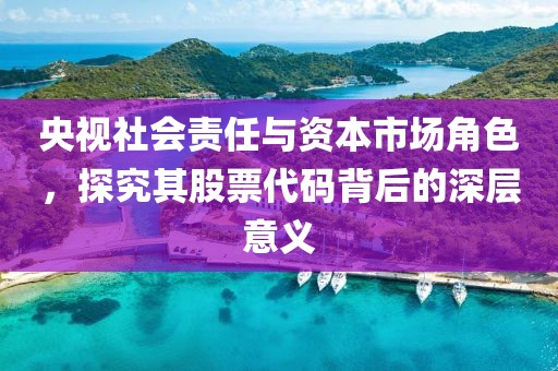 央视社会责任与资本市场角色，探究其股票代码背后的深层意义