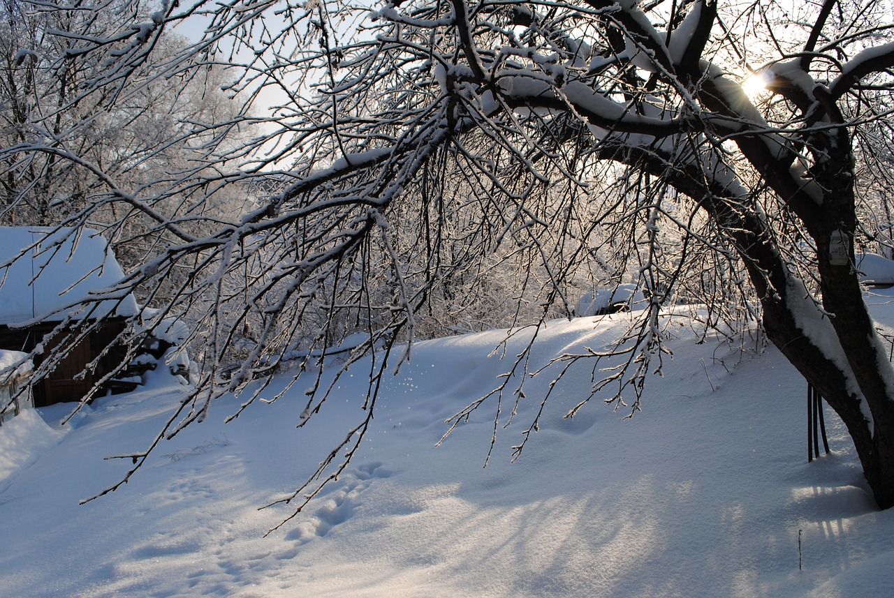 最新雪，自然盛宴的奇迹与魅力